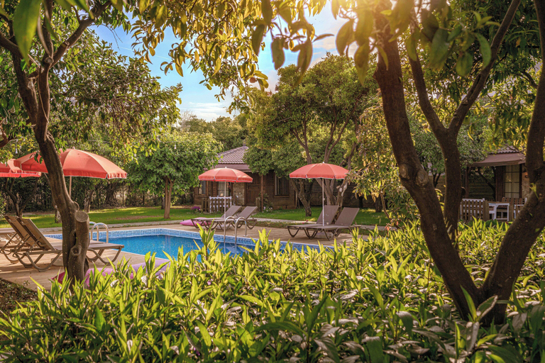 Sport & Beauty 4, Mandarin Bungalow, Alanya