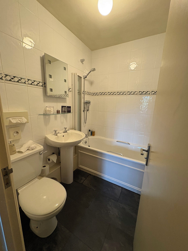 Bathroom 3, The Falcondale at Lampeter, Ceredigion