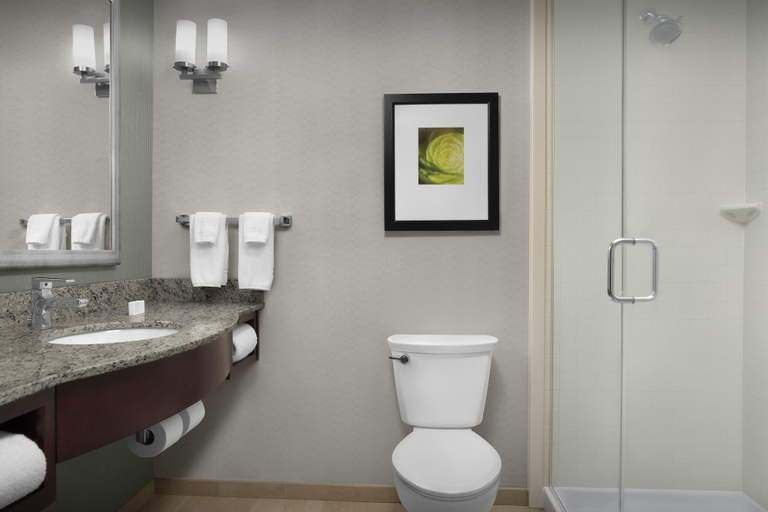 Bathroom 4, Hilton Garden Inn Gallup, McKinley