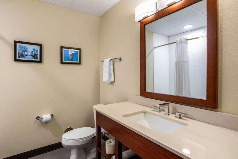 Bathroom 4, Comfort Inn & Suites Ames near ISU Campus, Story