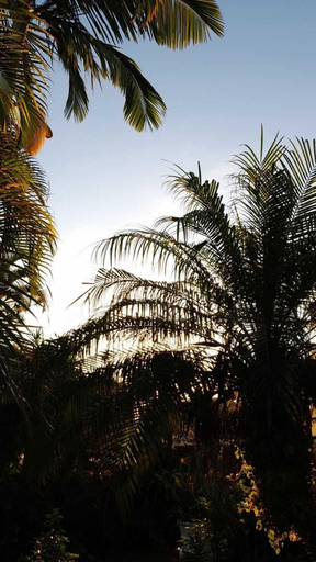 Others 5, Casa Jardim Secreto II, Penha