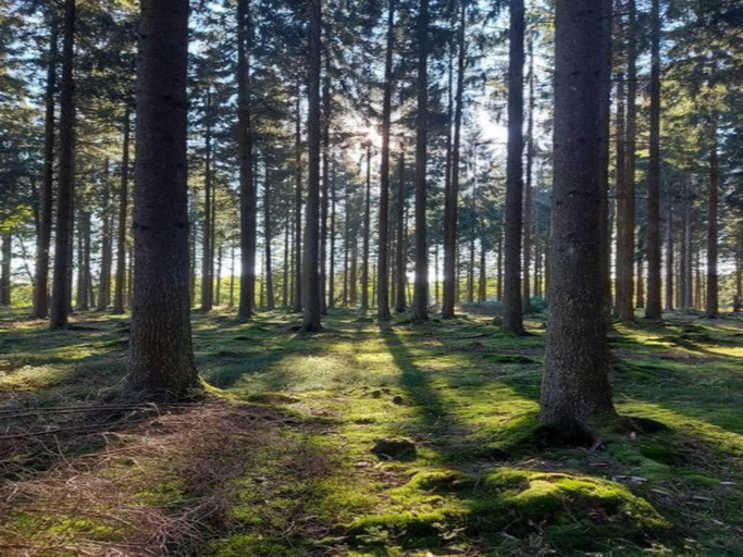 Others 5, Romantische Auszeit im Altmuhltal, Eichstätt