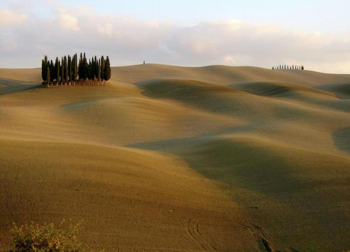 View from property 4, Lovely Farmhouse in Monticiano With Garden, Siena