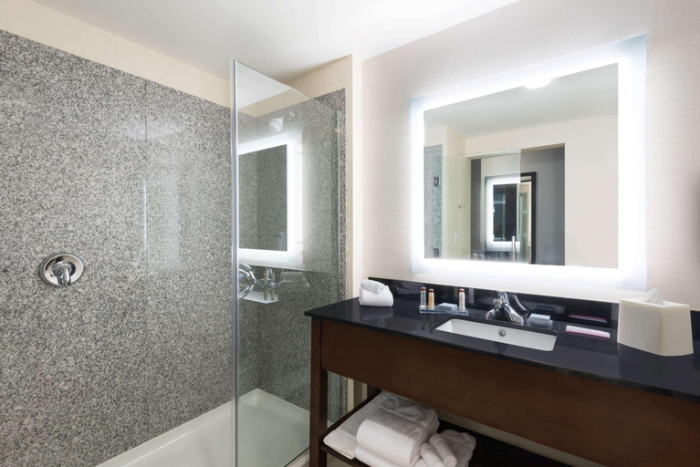 Bathroom 4, Wingate by Wyndham Sidney, Richland