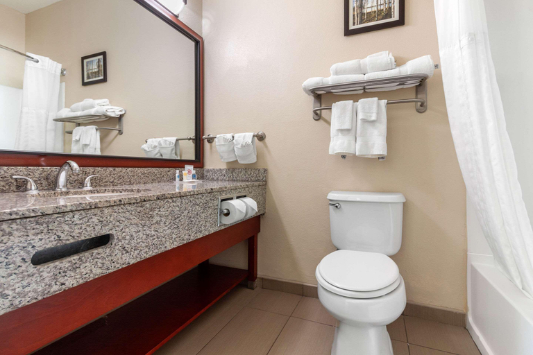 Bathroom 4, Comfort Suites Council Bluffs Area, Pottawattamie