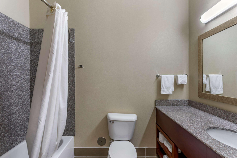 Bathroom 4, Comfort Inn & Suites Carbondale University Area, Jackson