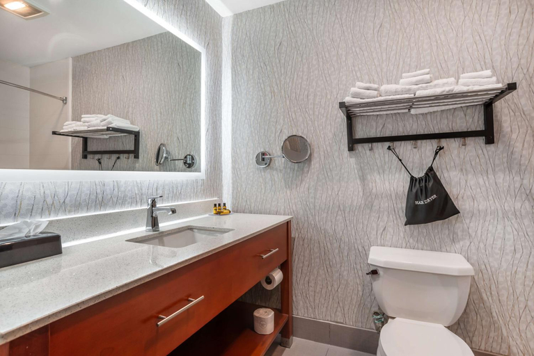 Bathroom 5, Best Western Plus Jackson Downtown-Coliseum, Hinds