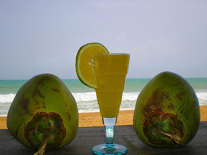 Food & Drinks 4, Hotel Village Vacances Awale Plage, Grand-Popo