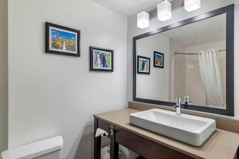 Bathroom 4, Comfort Inn Suites Calhoun, Gordon