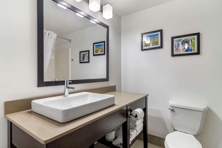 Bathroom 4, Comfort Inn Suites Calhoun, Gordon
