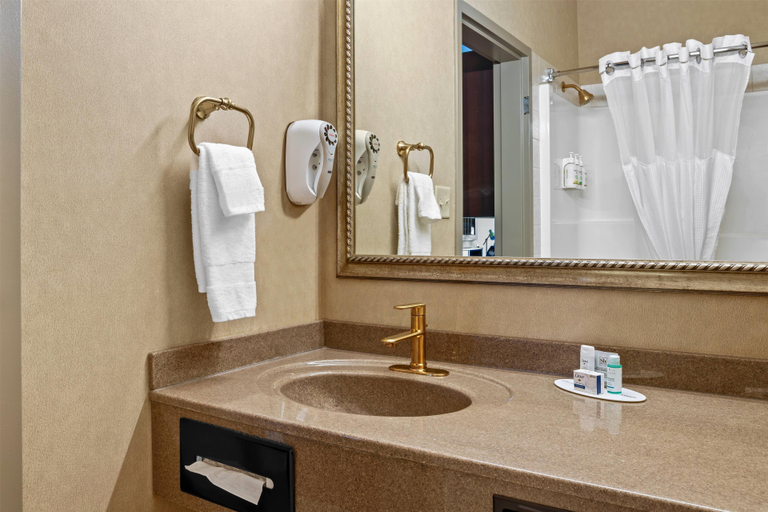 Bathroom 4, Ramada by Wyndham Drumheller Hotel & Suites, Division No. 5