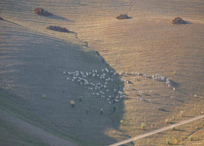 View from property 2, Lovely Farmhouse in Monticiano With Garden, Siena
