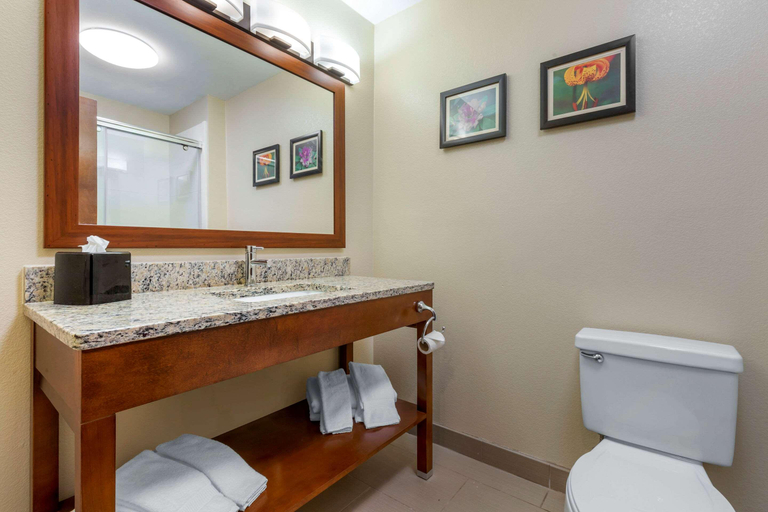 Bathroom 4, Comfort Inn & Suites Lenoir Hwy 321, Caldwell