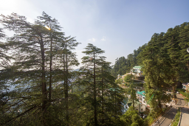 Others 5, Alaya Stays Premium 1 BHK - Baljees Melville Utopia, Shimla