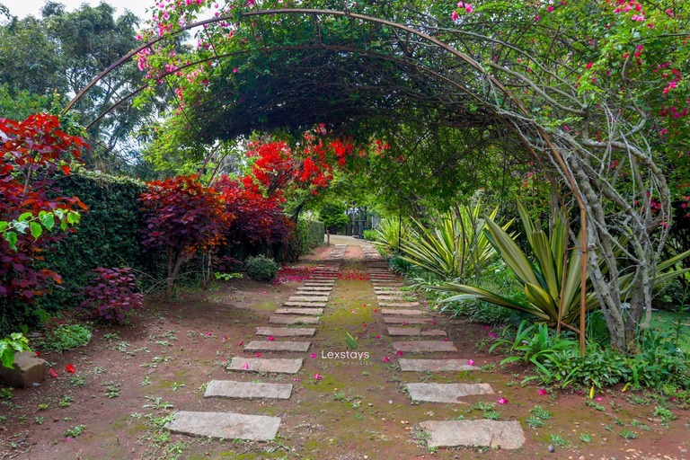Others 5, 42 Green Pastures By LexStays-Tea Estate Experience, The Nilgiris