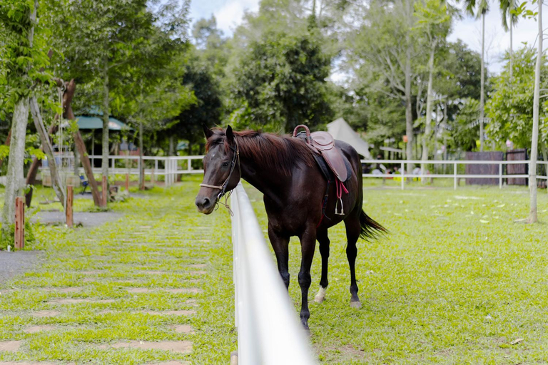 Others 3, Dancasa Horse Farm & Homestay, Krông Ana