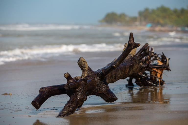 Others 5, Palaa Mujuii Hotel, Riohacha