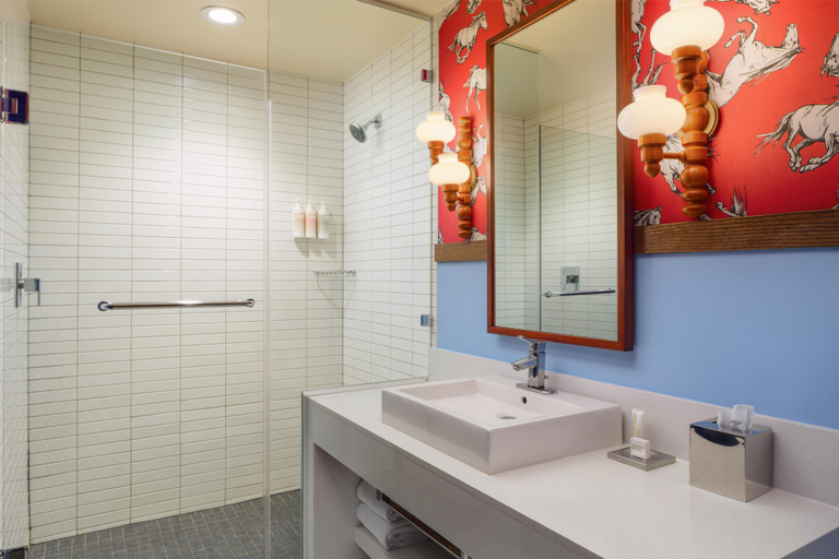 Bathroom 3, Graduate by Hilton Dallas, Dallas
