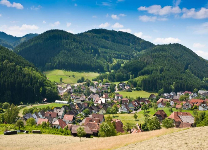 View from property 5, Cosy Farmhouse Apartment at the Edge of the Forest, Ortenaukreis