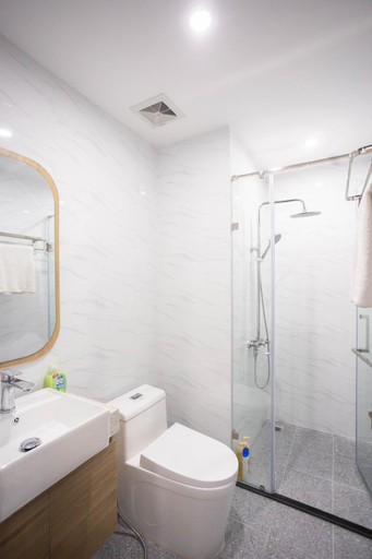 Others 4, Vinhomes D' Capital Hanoi Luxury Vip , Cầu Giấy