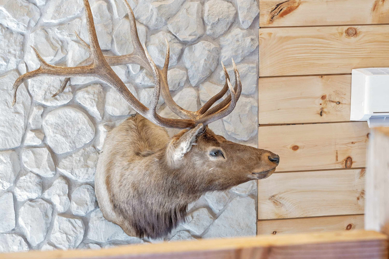 Others 3, Elk Lodge Cabin for 4!, Taney