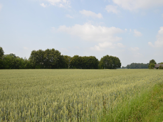 Others 5, Farmhouse in Geesteren near Golf Course, Borculo