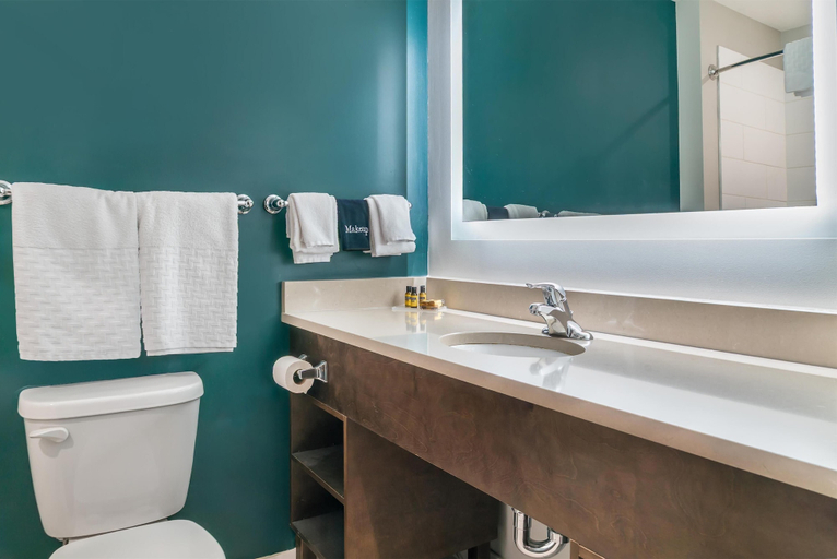 Bathroom, Best Western Plus Wayland Hotel, Allegan