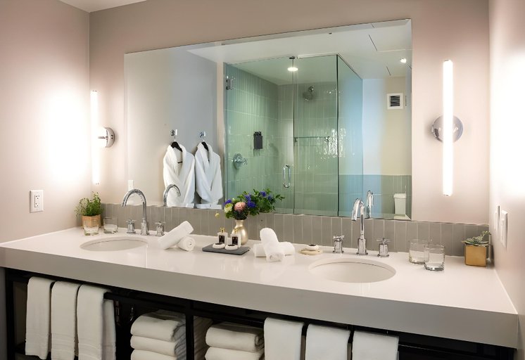 Bathroom 5, Delamar Traverse City, Grand Traverse