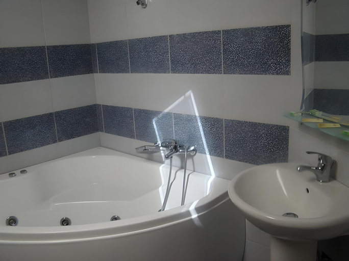 Bathroom 4, Pensiunea Floare de Colt, Dragoslavele