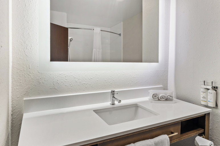 Bathroom 4, Holiday Inn Express Princeton by IHG, Mercer