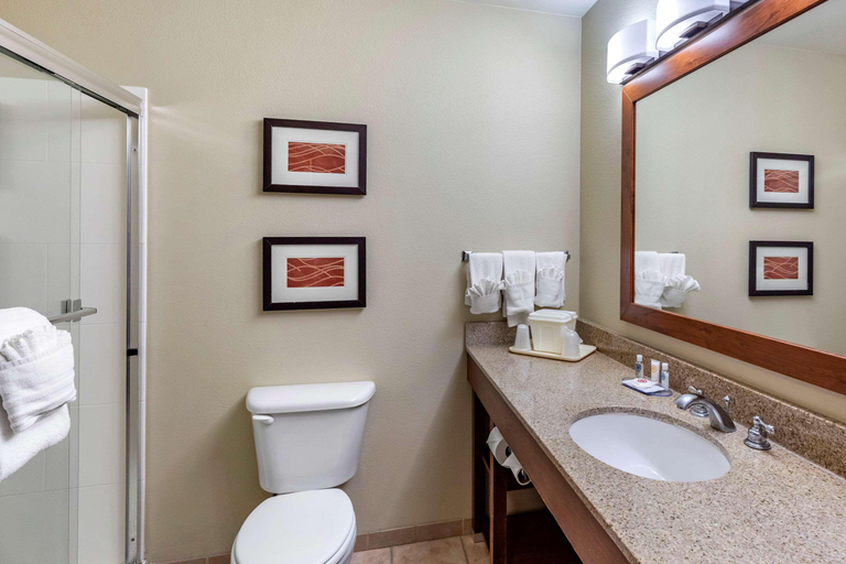 Bathroom 5, Comfort Inn Evansville-Casper, Natrona