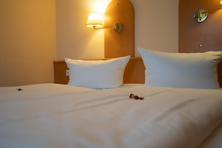 Bedroom 3, Hotel Zum Prinzen Sinsheim, Rhein-Neckar-Kreis