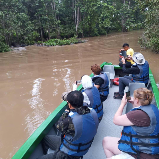 Others 2, Borneo Jungle Adventure, Kinabatangan
