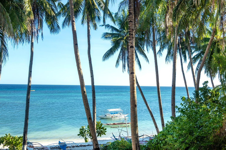 Others 5, Three Little Birds Resort, Anda