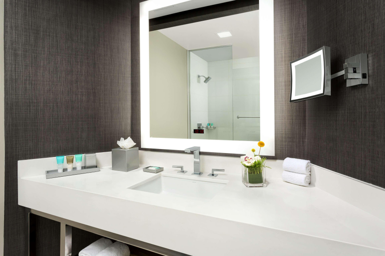 Bathroom 4, Hyatt Regency Bethesda, Montgomery