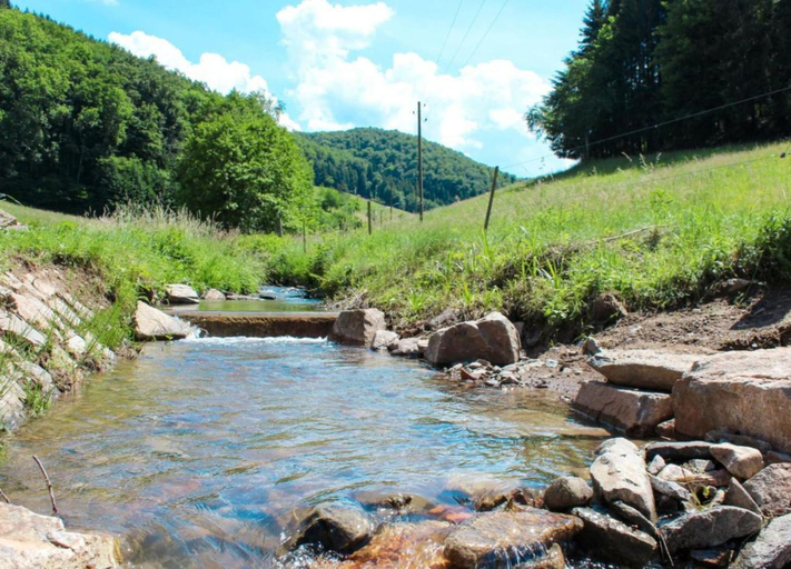View from property 4, Cosy Farmhouse Apartment at the Edge of the Forest, Ortenaukreis