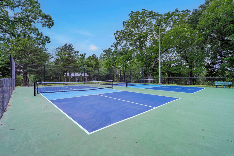 Sport & Beauty 3, Ozark Mountain Oasis For 7!, Stone