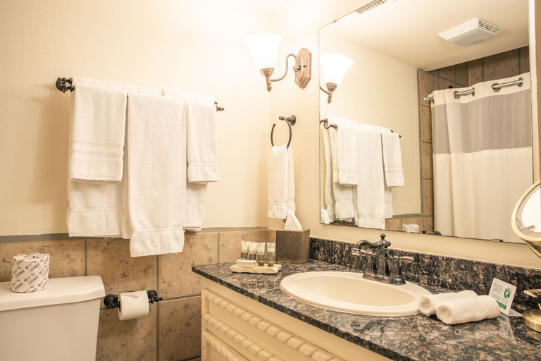 Bathroom 4, Lajitas Golf Resort & Spa, Brewster