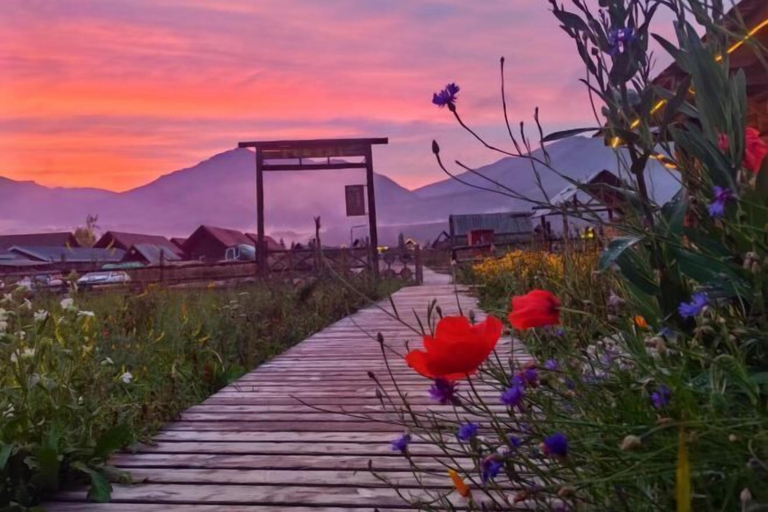 Others 5, Hemu Free Tribe Villa, Altay