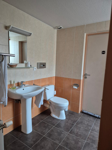 Bathroom 3, Chez Anabel et Stephane, Haut-Rhin