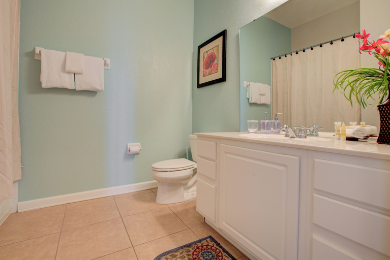 Bathroom 5, Lakeview Palms, Orange