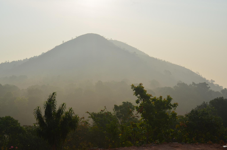 Others 5, Thotadagadde homestay, Chikmagalur