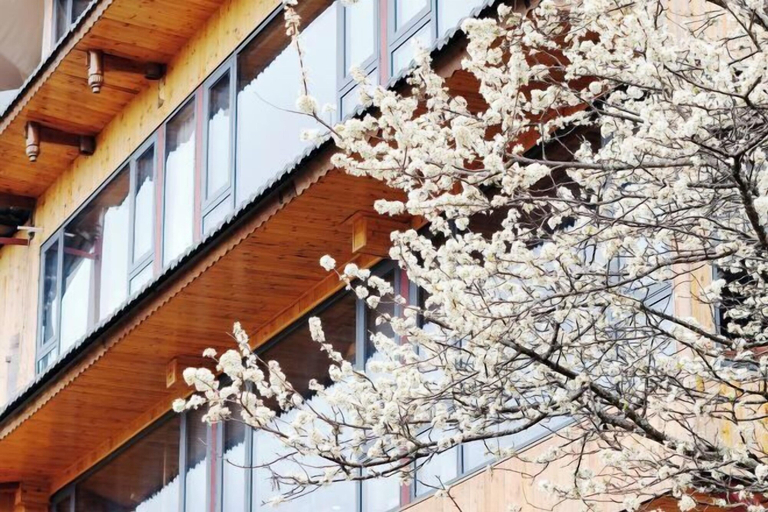 Exterior & Views 2, LongJi One Art Hotel, Guilin