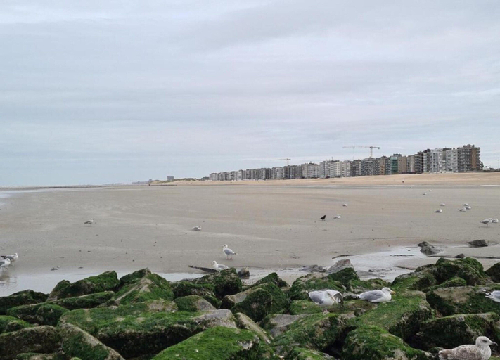 View from property 2, Apartment on Belgian Coast With Sea View, West-Vlaanderen