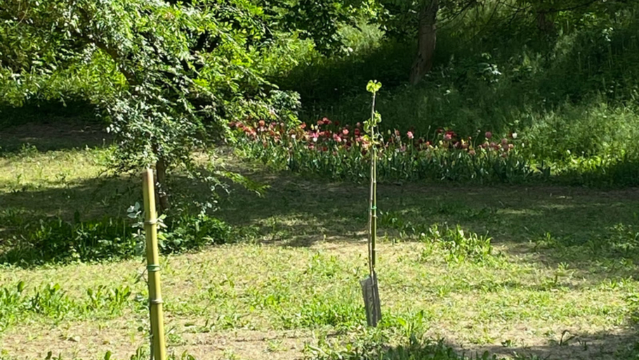 Others 5, Eco house Roero cottage, Cuneo