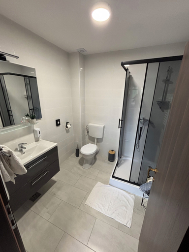 Bathroom 4, Estate Pavlić, Rakovica