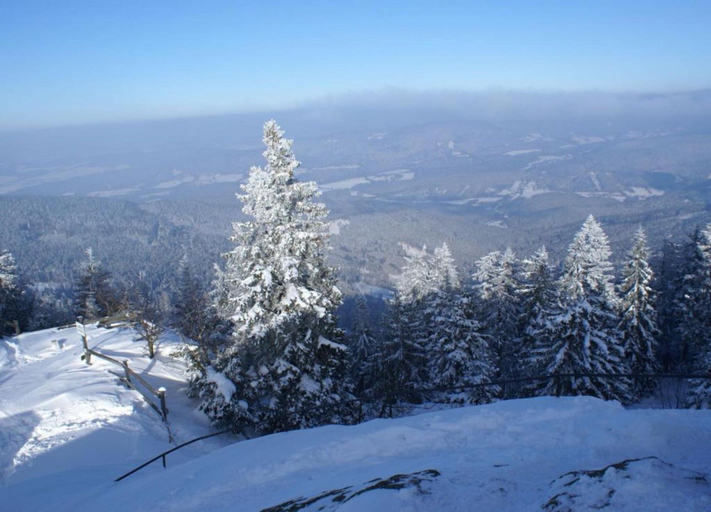 View from property 4, Ferienwohnung im Bayerischen Wald mit Terrasse, Regen