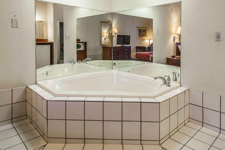 Bathroom 4, Econo Lodge Inn & Suites Marianna South, Jackson