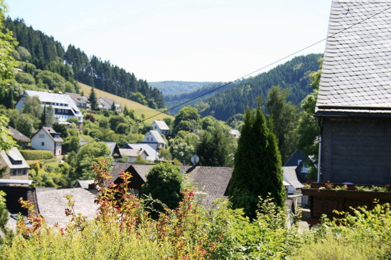 Others 4, Holiday Home in Willingen Near Ski Area, Waldeck-Frankenberg