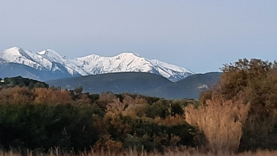 Others 4, Mas des Olivettes, Pyrénées-Orientales